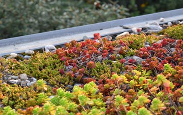 the cost of Farleys End green roof installation